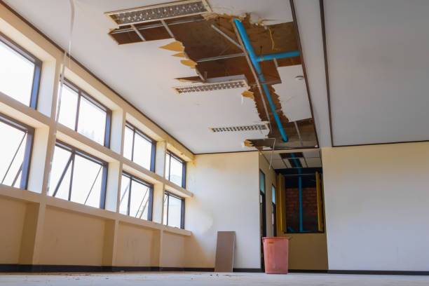 Best Water damage restoration company  in Montezuma, GA