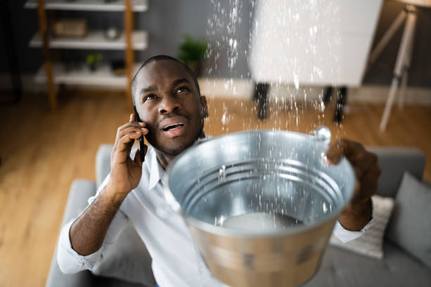 Best Water damage restoration mold remediation  in Montezuma, GA