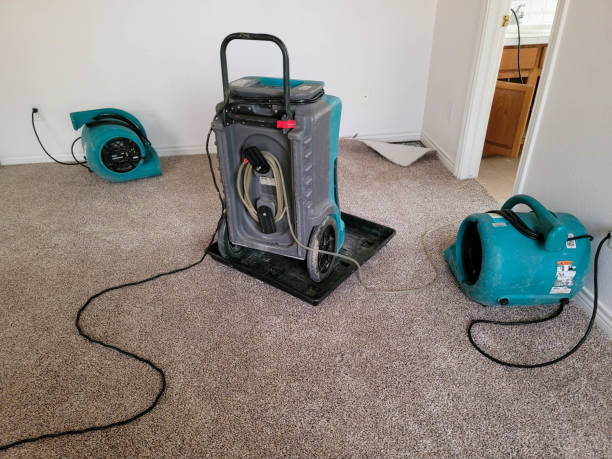 Best Water damage restoration near me  in Montezuma, GA