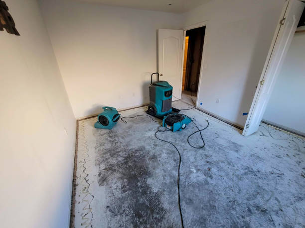 Best Fire Damage Restoration  in Montezuma, GA