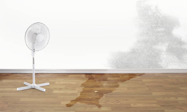 Best 24-hour water damage restoration  in Montezuma, GA