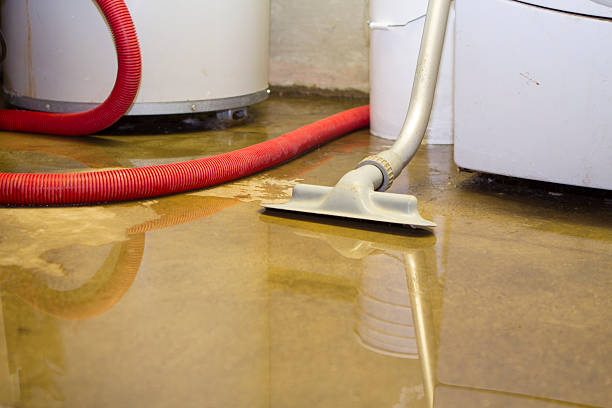  Montezuma, GA Water damage restoration Pros