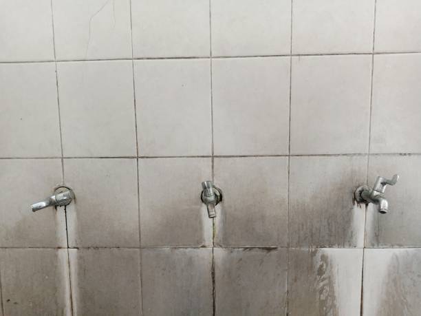 Best Sewage cleanup and water damage restoration  in Montezuma, GA