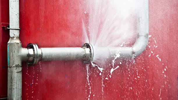 Best Professional water damage repair  in Montezuma, GA